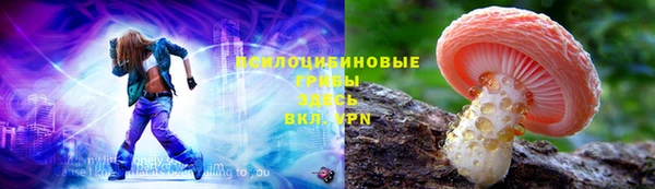 ПСИЛОЦИБИНОВЫЕ ГРИБЫ Рославль