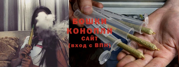 ПСИЛОЦИБИНОВЫЕ ГРИБЫ Рославль