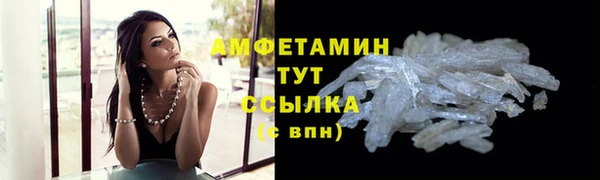 ПСИЛОЦИБИНОВЫЕ ГРИБЫ Рославль