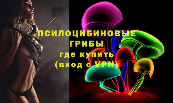 ПСИЛОЦИБИНОВЫЕ ГРИБЫ Рославль